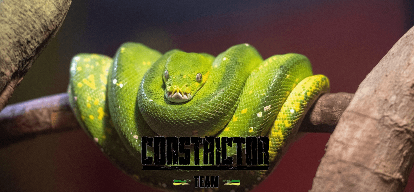Plano de fundo da Constrictor Team