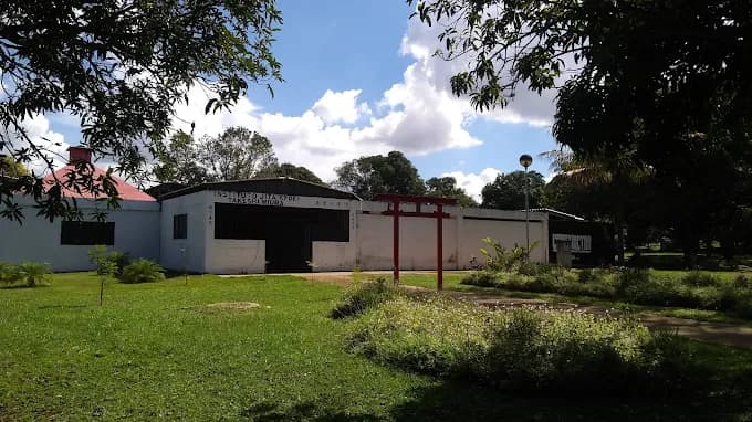 Constrictor Team Dojo